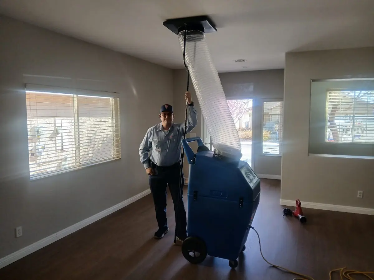 Professional Dryer Vent Cleaning work inside a Brentwood home